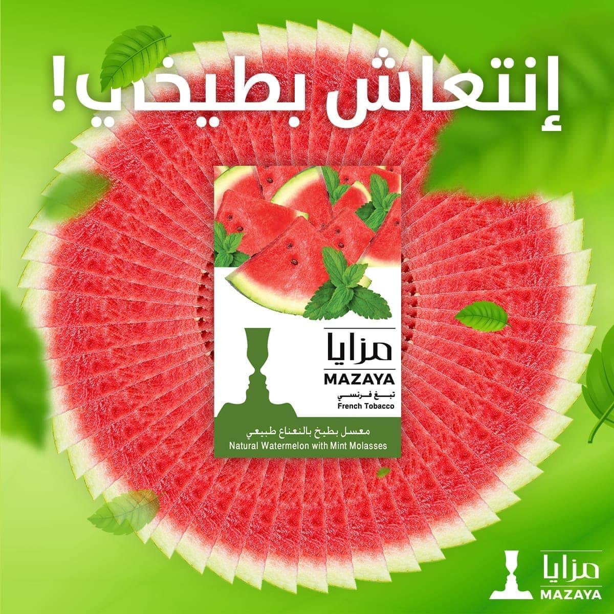 Mazaya Molasses Watermelon Mint - معسّل مزايا بطيخ ونعنع - Shishabox